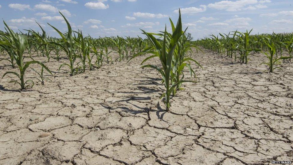 123280661 gettyimages 186794056 1