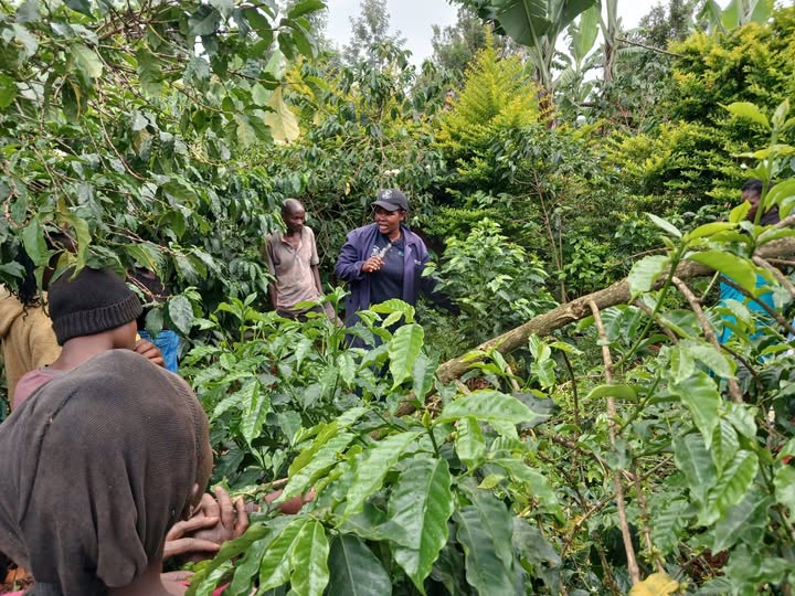 484975827 2741290826057978 3288943121890065814 n