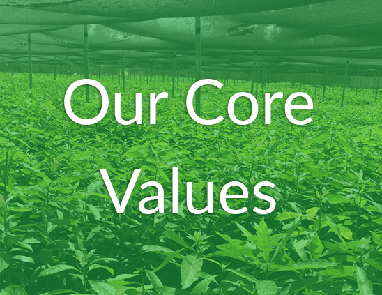cropmasters core values