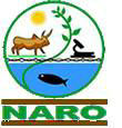 naro