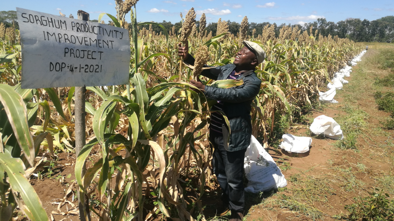 phiri slide 1360x765