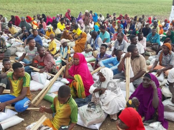 livelihood and food security